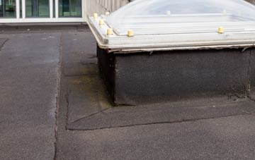 disadvantages of Coton In The Elms flat roofs