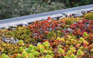 the cost of Coton In The Elms green roof installation