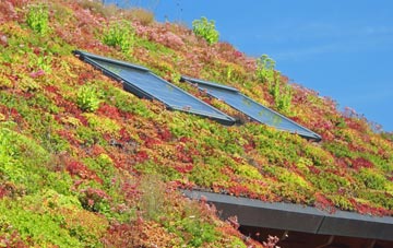 Coton In The Elms living roof systems