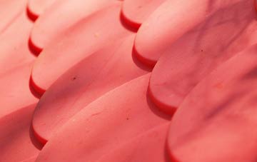 Coton In The Elms plastic roof costs