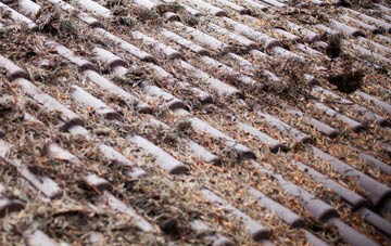 Coton In The Elms roof cleaning companies