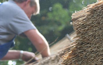 professional Coton In The Elms thatchers