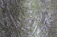 Coton In The Elms fibreglass roof work