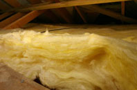 Coton In The Elms pitch roof insulation